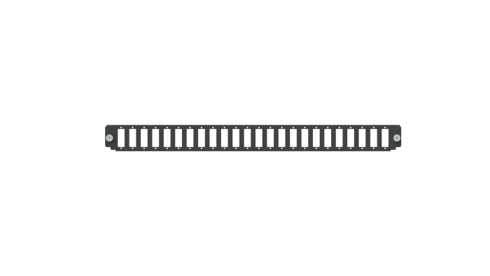 10D Panel 24 LC Quad