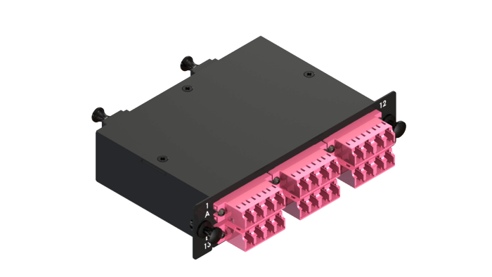 LGX 2x12C Cassette OM4