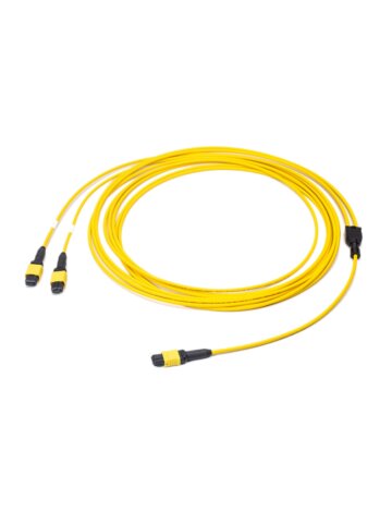 MPO Conversion Cable – 12Fiber