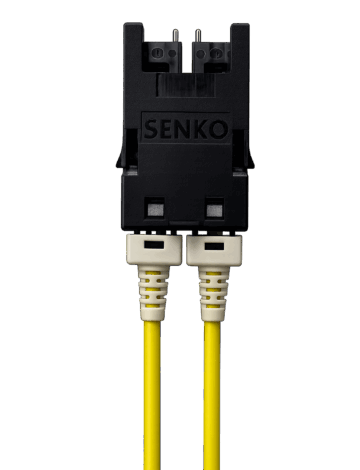 ELSFP